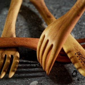 Alternative view of Ikigai Fork